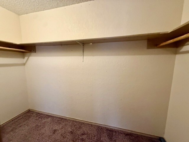 Building Photo - 6304 Quaker Ave