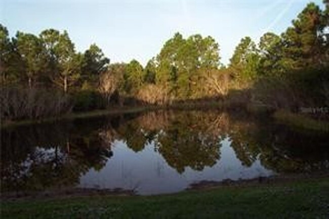 Building Photo - The PINES of Deep Creek available for seas...