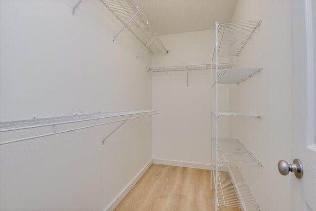 Building Photo - 909 Watsonia Dr