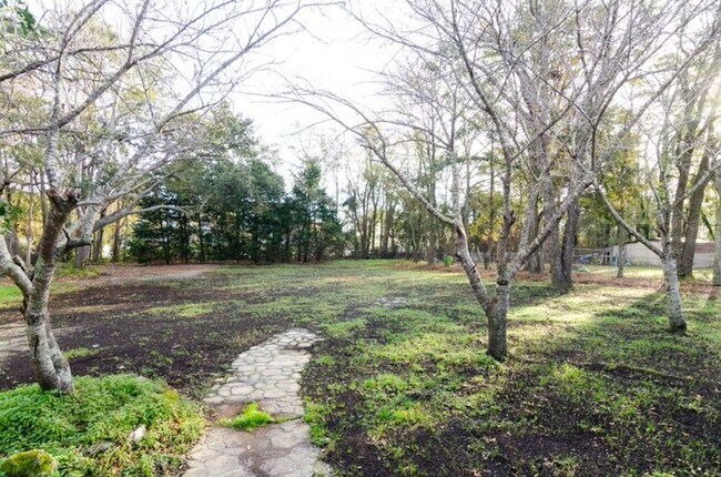 Building Photo - 229 Lullwater Dr