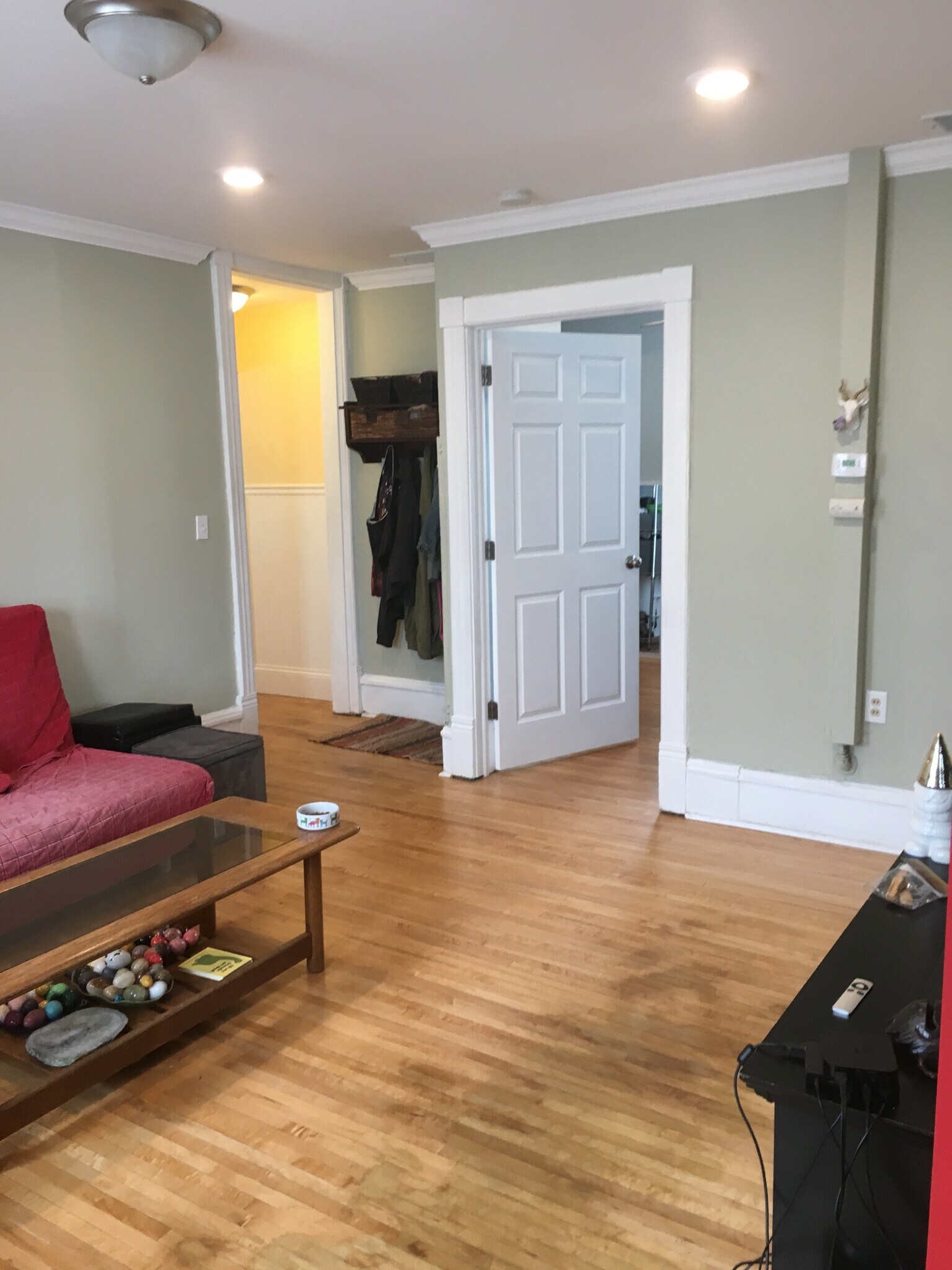 Entering the apartment living room. Hallway to left goes to kitchen. Doorway opens to middle bedroom. Hardwood floors throughout. - 1320 Jefferson St NE