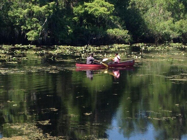 Building Photo - 13304 Sanctuary Cove Dr