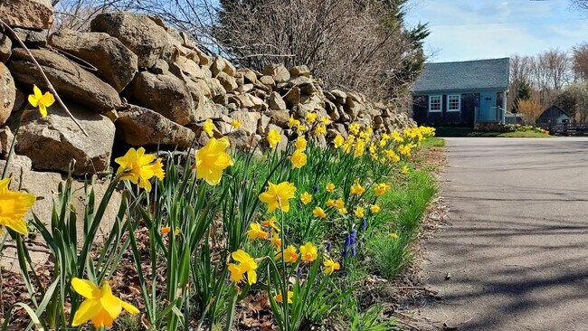 Building Photo - 94 Cross Rd