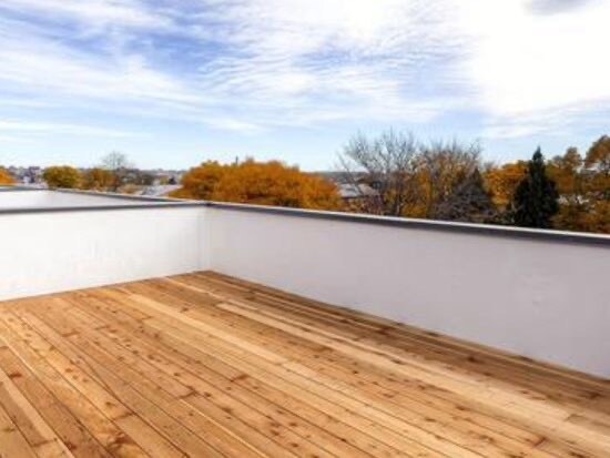 Roof deck - 3215 W 17th Ave
