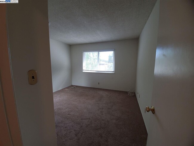Building Photo - 2255 Segundo Ct