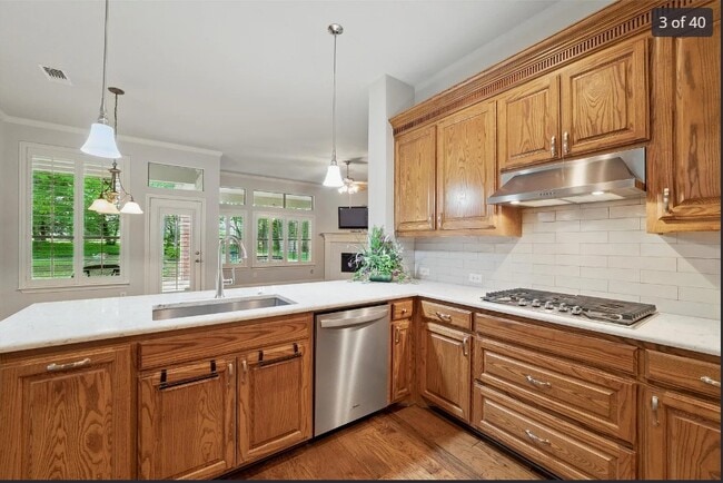 Building Photo - 231 Pine Valley Ct