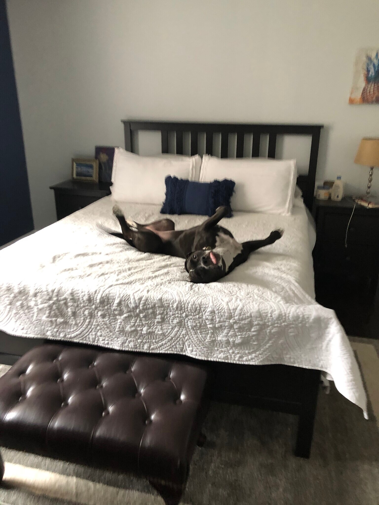 Building Photo - 3902 14th St NW