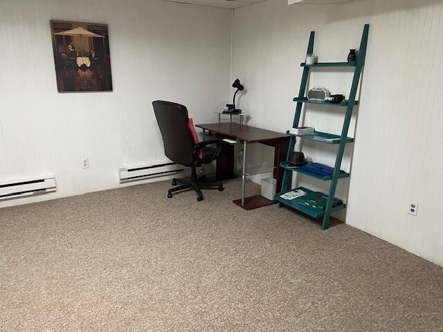 Basement - 428 Thoreau Rd