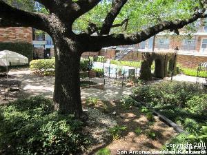 Building Photo - 8401 N New Braunfels Ave