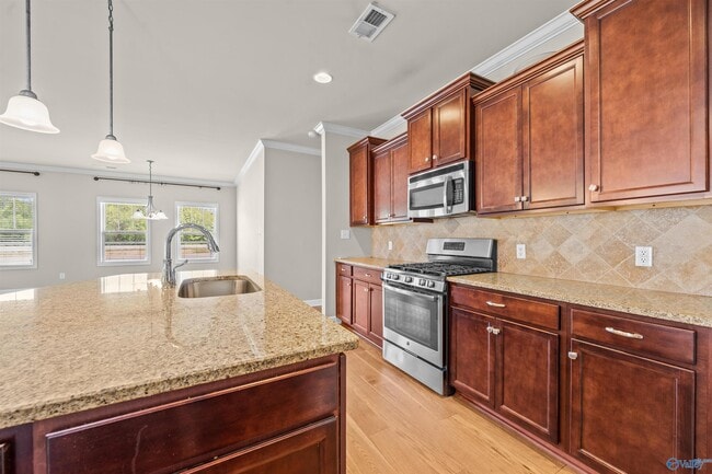 Building Photo - 3013 Mallard Point Dr SE