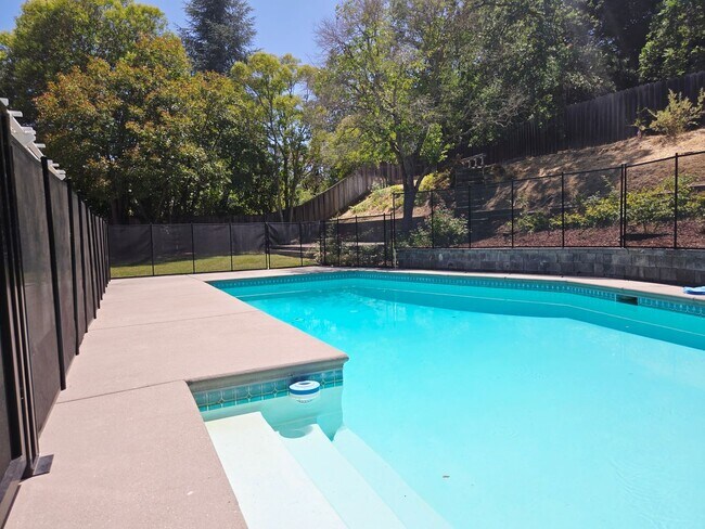 Building Photo - Stunning 4BD + Office Home with Pool in Li...