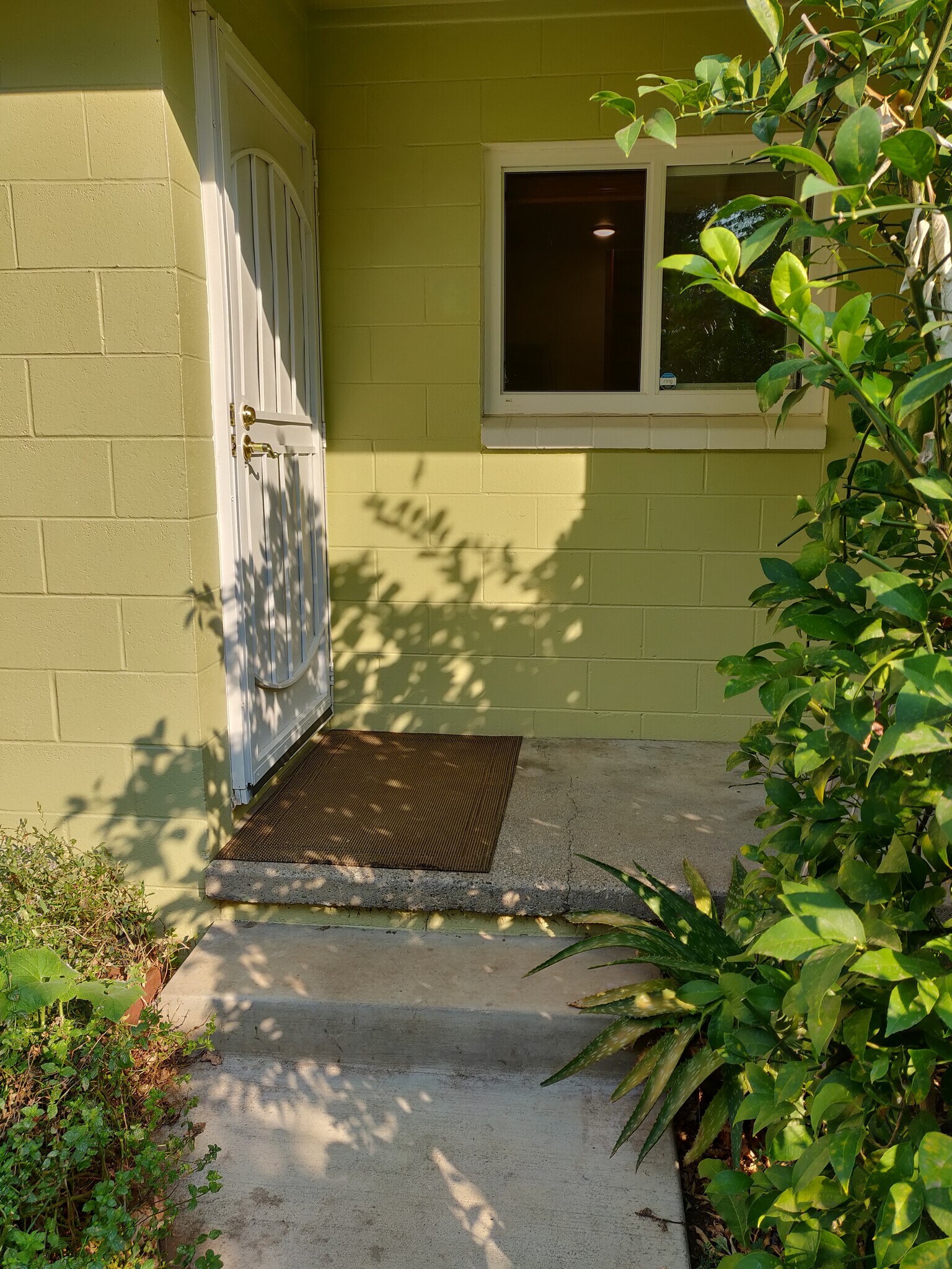 Building Photo - 1130 Olive St