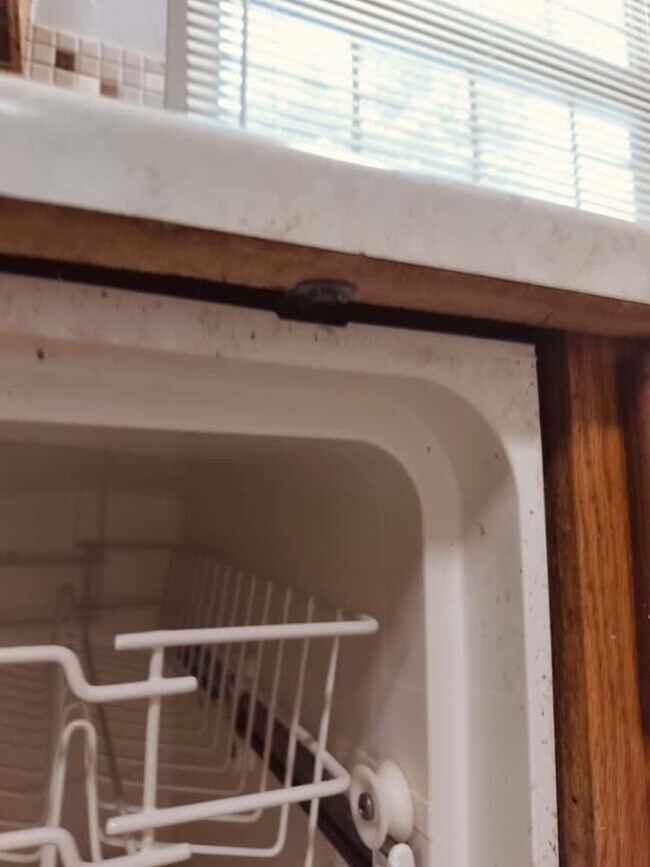 Building Photo - 2461 Duchess Dr