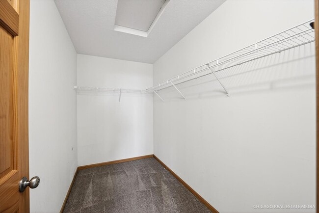 Building Photo - 4862 Snowcap Run