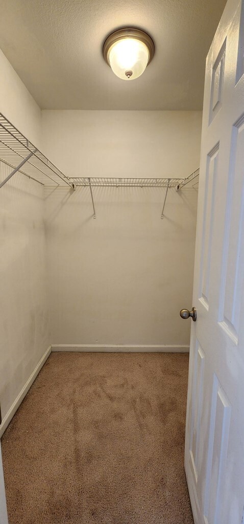 Building Photo - 1607 Musket Trail