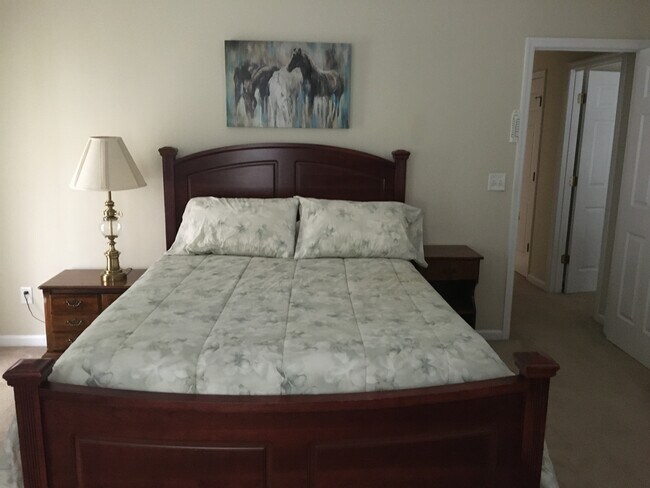 queen bed in master bdrm - 1243 Carriage Dr