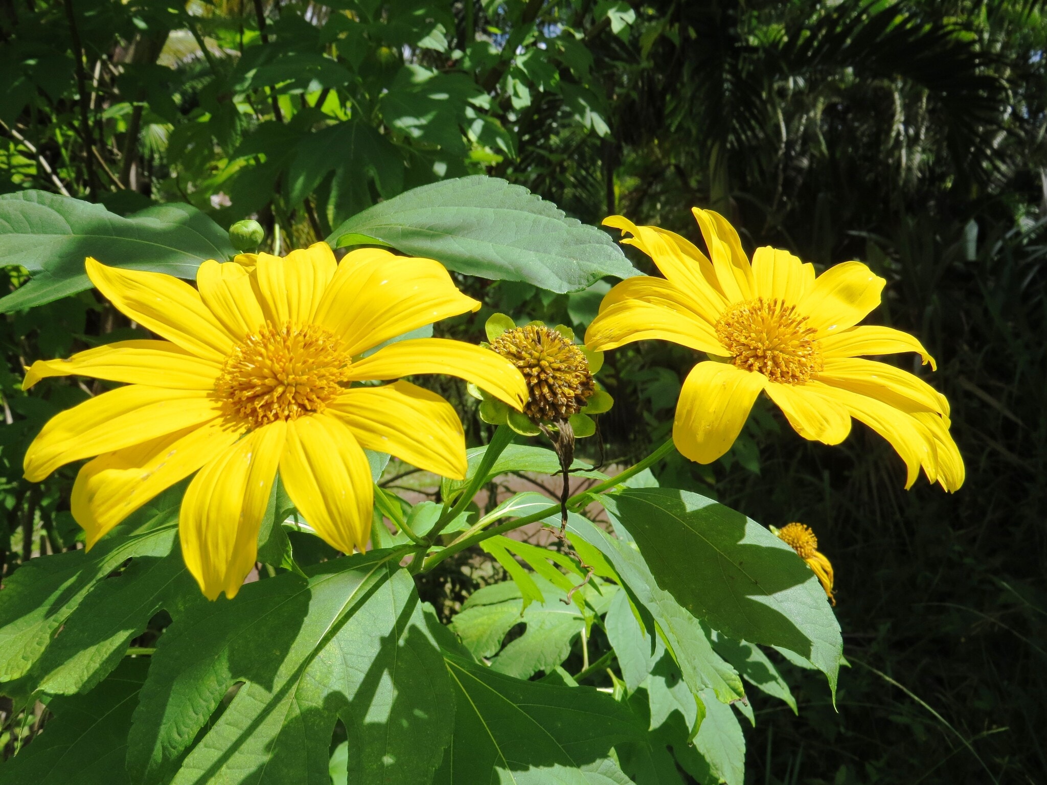 Building Photo - 15-1414 24th Ave