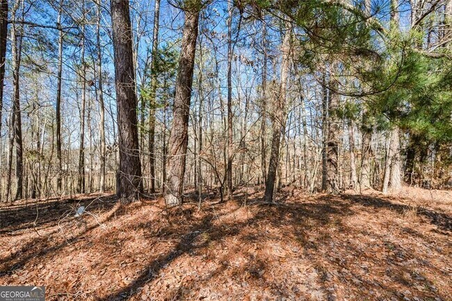 Building Photo - 305 Collegiate Dr
