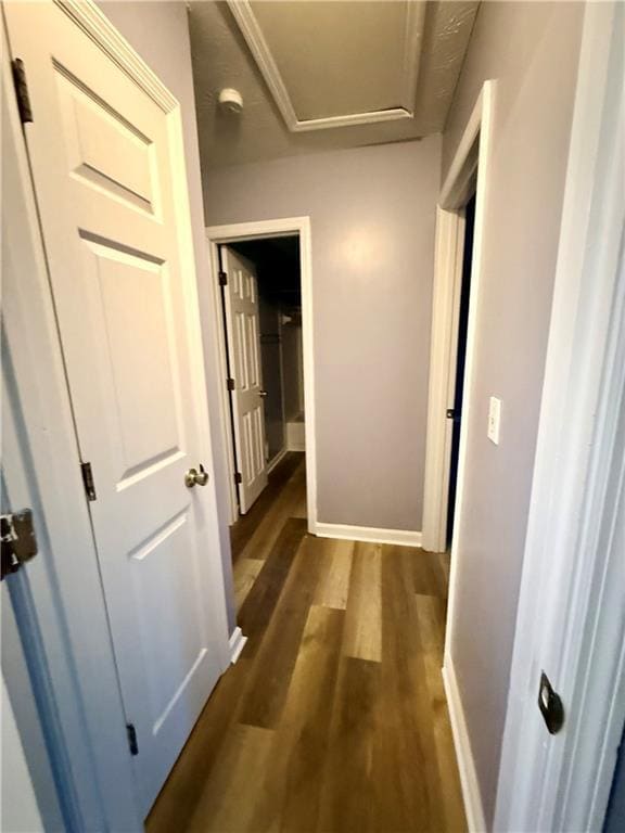 Building Photo - 3101 Brooks Dr