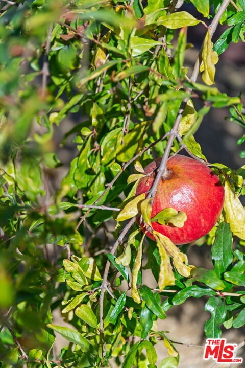 Building Photo - 1224 N Ogden Dr