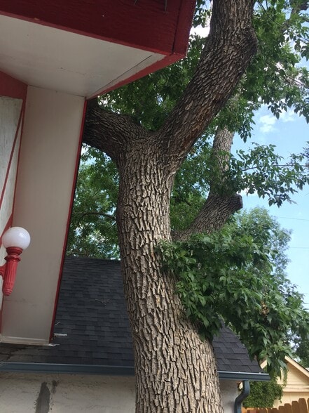 Building Photo - 431 N Franklin St