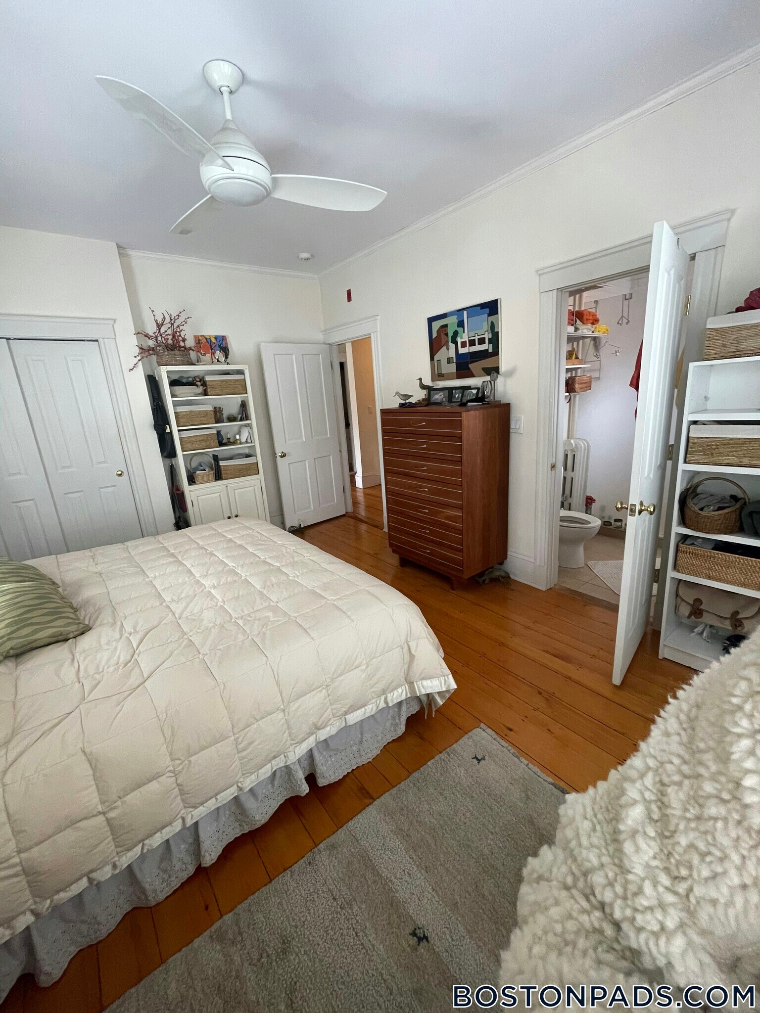 Building Photo - 30 Healey St