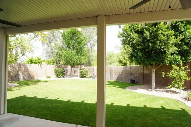 Building Photo - Beautiful Chandler Rental Dobson & Ray