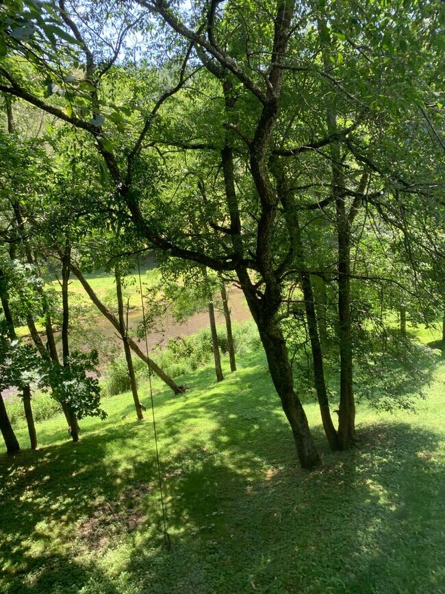 Building Photo - 504 Stuart Williams Rd