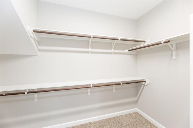 Building Photo - 12507 Point Arbor Court