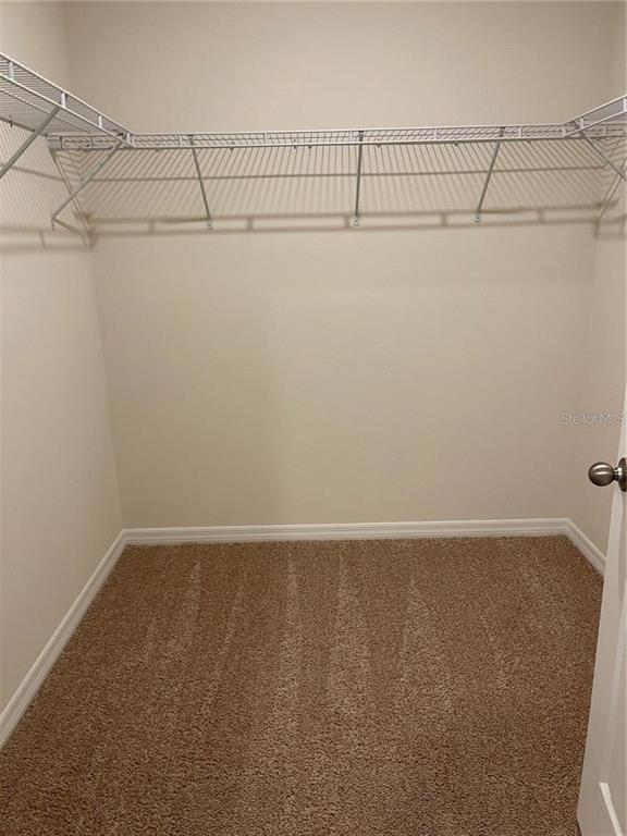 Building Photo - 3457 Forster Ave