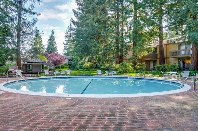 Building Photo - Fully Furnished Condo near Downtown Mountain View & Stevens Creek Trail