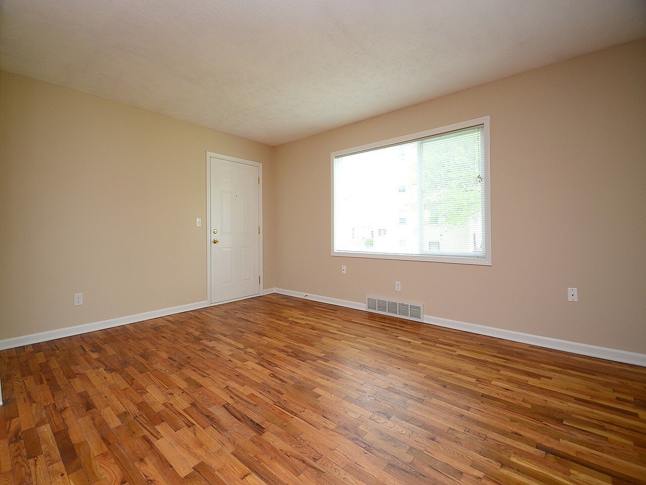 View from inside of living room into apt door - 3903 Cass St