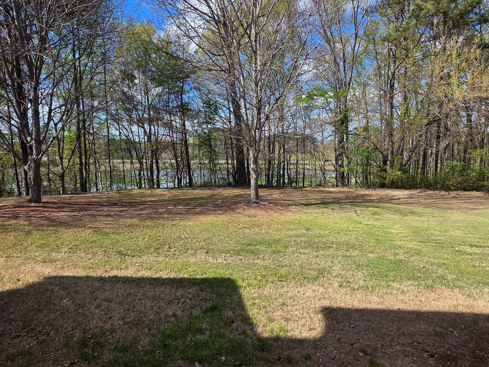 Backyard - 1422 Dolcetto Trce NW