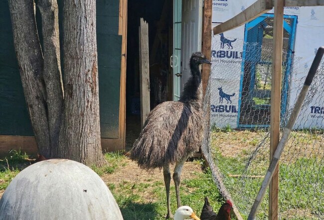 Building Photo - 443 Clove Rd