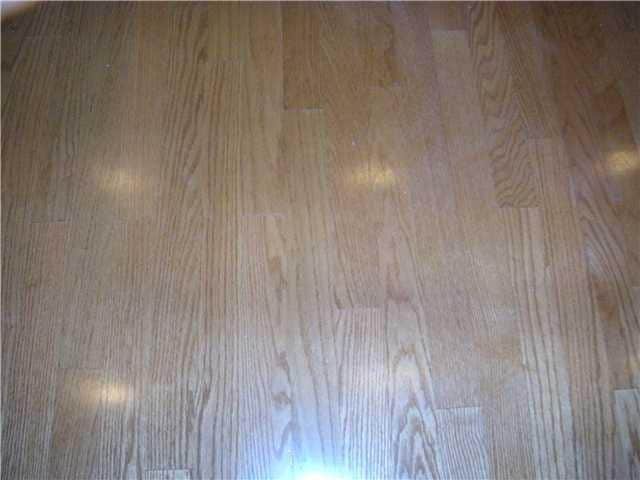 Building Photo - K021 - Treehouse #204