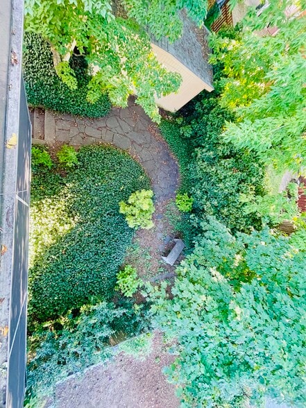 BACK YARD TOP VIEW - 10 Packard Ave