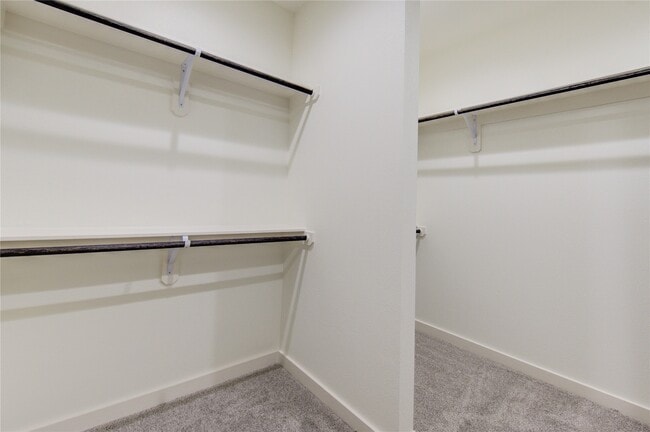 Building Photo - 2914 El Fenice Ln