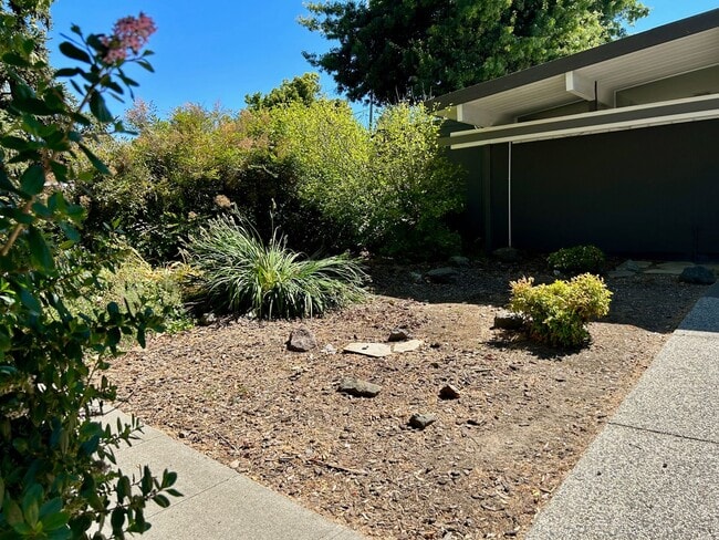 Building Photo - Updated Willow Glen Eichler