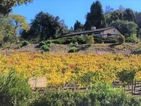 Building Photo - Spectacular Ranch House With Amazing Views!