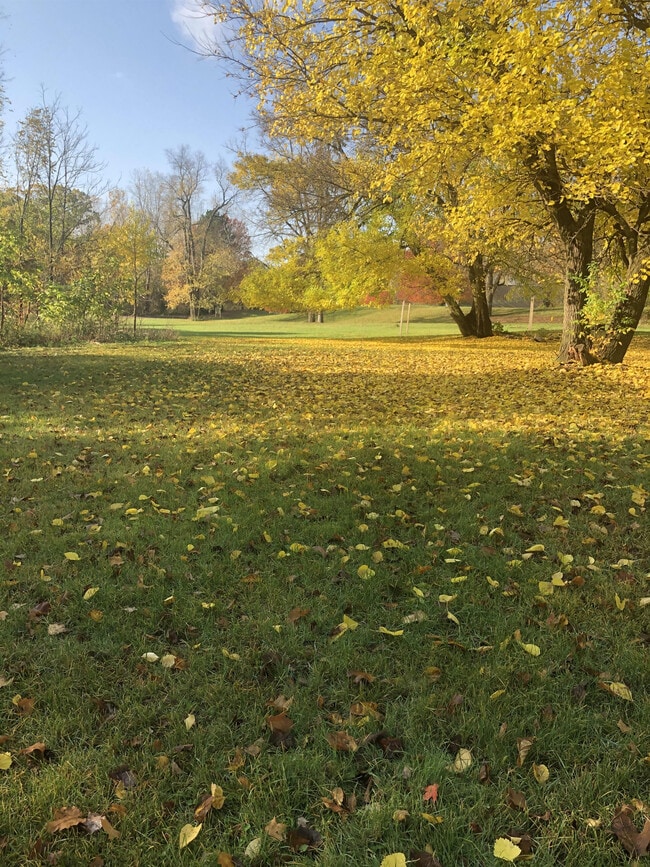 Building Photo - 419 Harley St