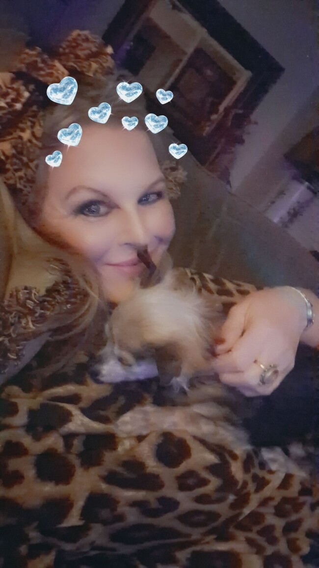 Guest cuddling Chip - 1319 Walgrove Ave