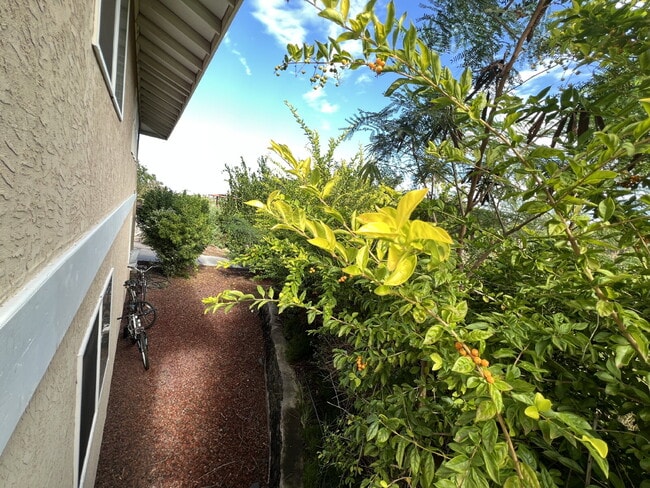 Building Photo - Waikoloa 1BR Apartment | Flexible 6-Month Lease | Utilities + Amenities Included