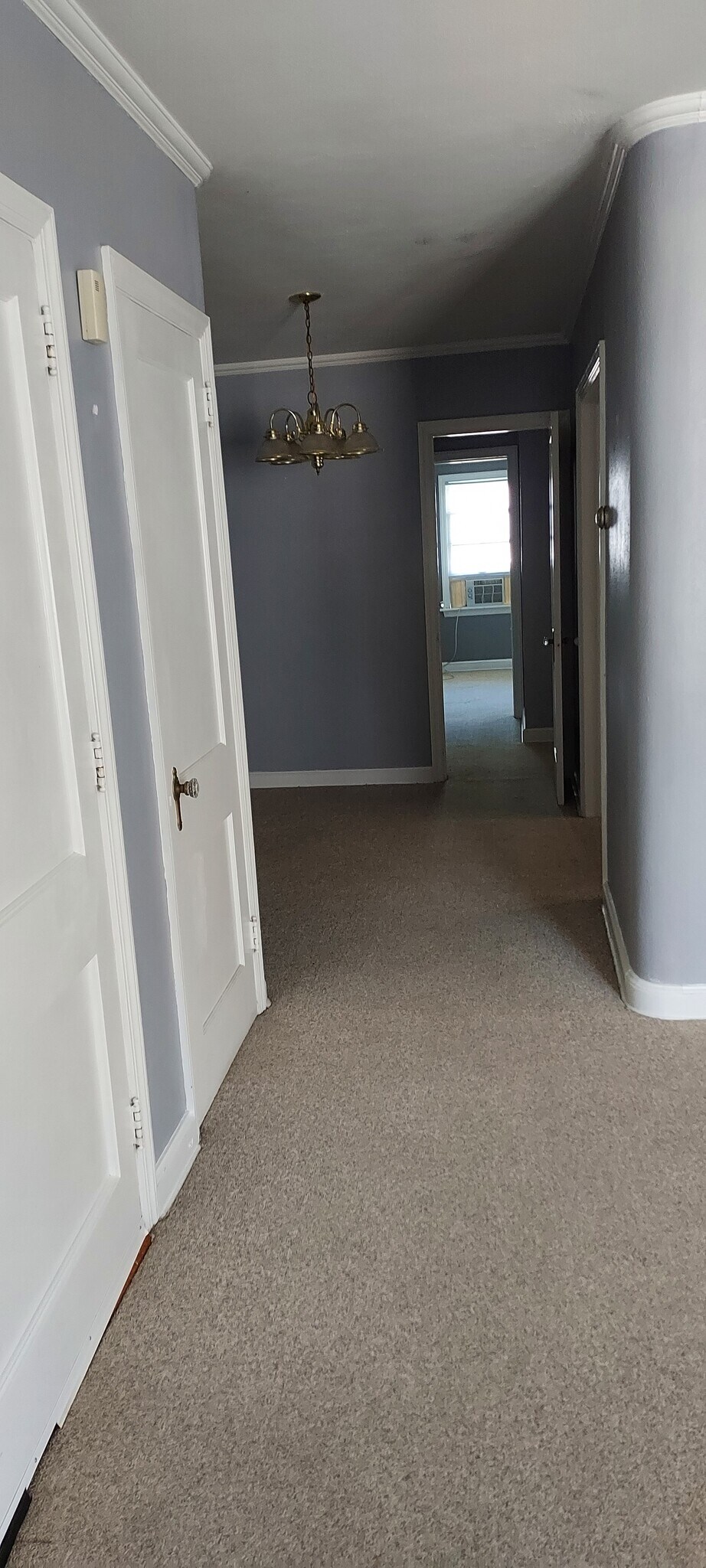 Freshly cleaned carpets - 2206 8th Ave