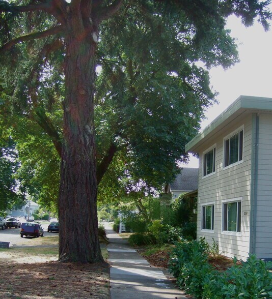 Building Photo - 236 NW 8th St