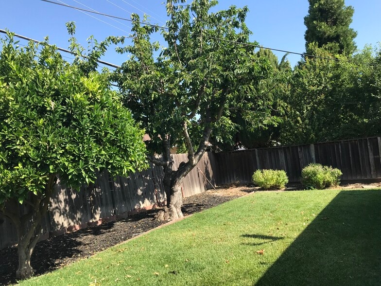 Large backyard with mature fruit trees - 921 Sherman Oaks Dr