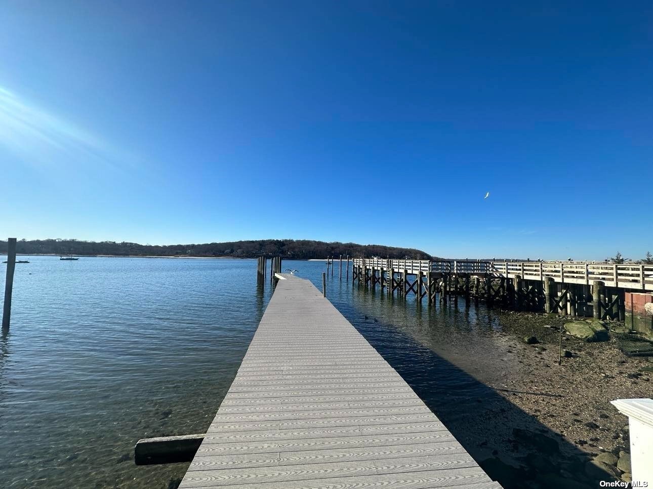 Dock - 147 Woodbine Ave