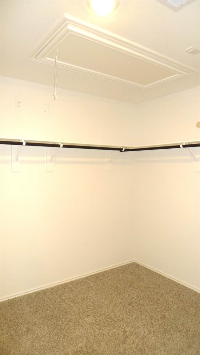 Building Photo - 3715 Zoeys Wy