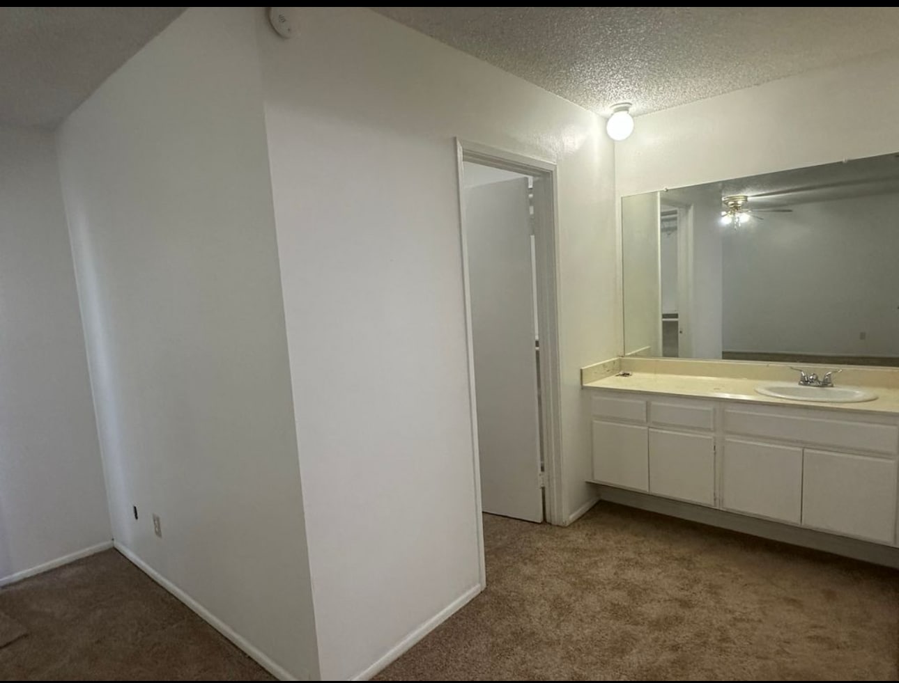 Building Photo - 1602 Viola Pl