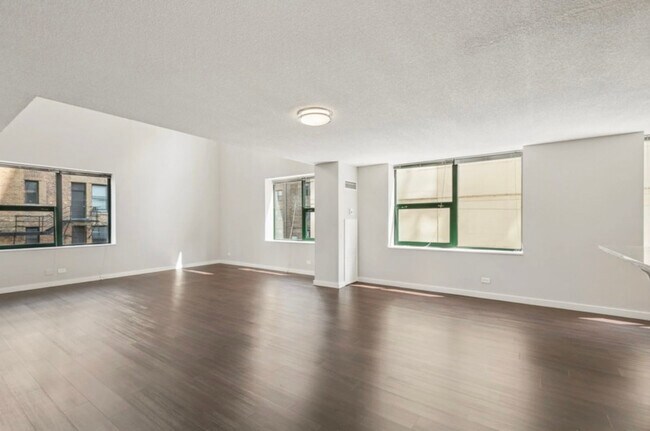 Building Photo - 666 N Dearborn St