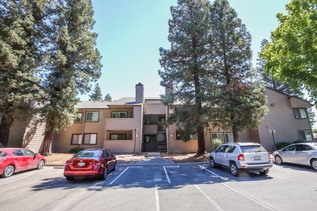 Primary Photo - 3715 Tallyho Dr